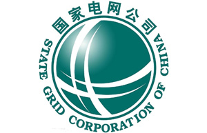 國家電網公司 國家電網公司