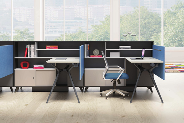 菲爾德.jpg 菲爾德.jpg