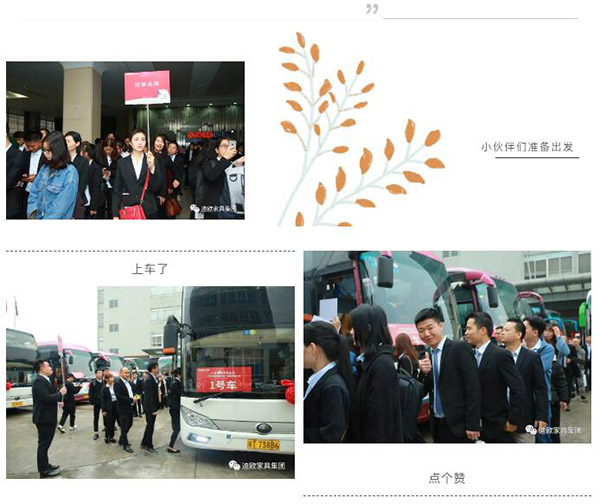 迪歐家具 迪歐家具